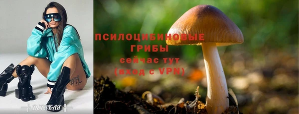 трава Балабаново