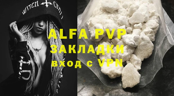 PSILOCYBIN Новокубанск