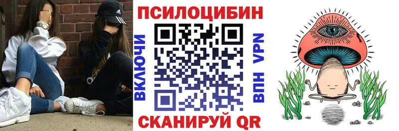 купить наркотик  Спас-Деменск  Галлюциногенные грибы Psilocybine cubensis 